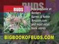 Big Book of Buds 3 View Video