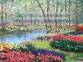 Eu quero sol nesse jardim - Katedral.wmv