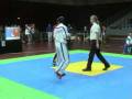 WAKO Kickboxing European Championship  Lightcontact -74 Levente (AUT)  vs. Patelli (ITA)