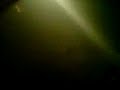silvester vor cans tür:D