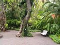 Botanischer Garten in Puerto de la Cruz - Teneriffa