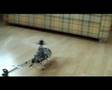 WALKERA SF60 Schwebeflug