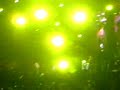 Kumbala, Maldita Vecindad, Vive Latino 2008