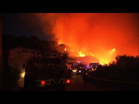 Incendios forestales arrasan hectáreas en Francia