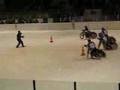Opolska Gala Zuzlowa na lodzie 2008 - bieg 7