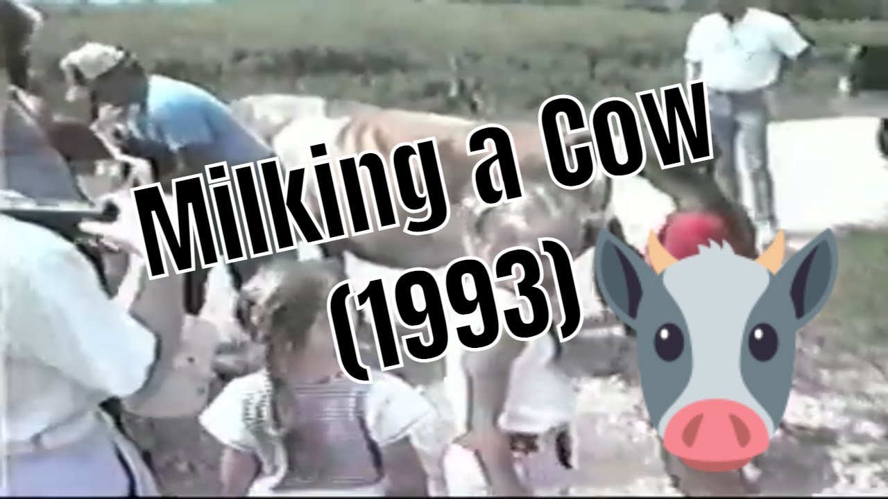 Milking a Cow at the Family Farm in Iowa (1993)