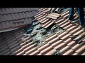 Is this the Bat Cave?! Part 1 - Roofing Contractors Miami, FL - Istueta Roofing