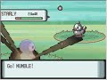 Pokemon Diamond-Finally Perfect!