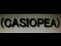 CASIOPEA LIVE 『 ドミノライン 』
