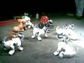 Aibo Meeting Oud Ade 26-10 2008