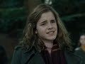 Bleeding Heart - Harry/Hermione Bleeding Heart - Harry/Hermione