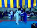 videos de abelha.wmv