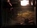 bullfrog eats a snake