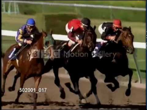 horses grand national