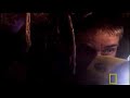 Dangerous Encounters: Dens of Danger Dangerous Encounters: Dens of Danger
