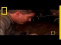 Dangerous Encounters: Dens of Danger
