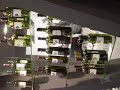 Vinitaly 2008
