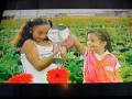 videos de el poema mas chido de mexico