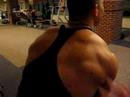 back cable flys