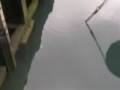 videos de ZURULLO DONOSTIARRA