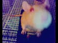 Sandee Inspecting The Camera