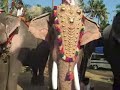 pooram.