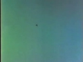 Rare 1983 Bird Show Video Part 2 Rare 1983 Bird Show Video Part 2