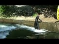 Surfing on the Isarkanal, Thalkirchen, Munich Surfing on the Isarkanal, Thalkirchen, Munich