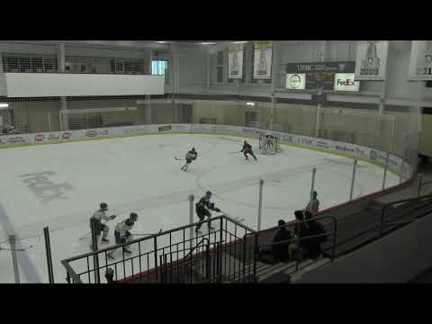 - Emerson Goode ClipsJr Ducks vs Jr Sabres 2020