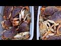 CRAB