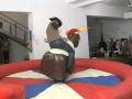 videos de Bruno Ferreira - Wunderman rodeo