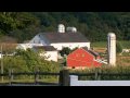 Trouble in Amish Paradise (2 of 6)
