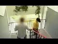 Polish fan vs reporter 1