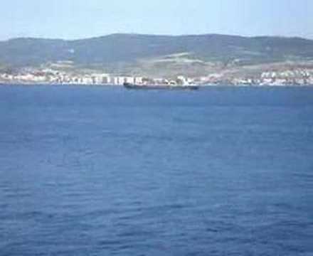 Dolphins @ the Dardanelles
