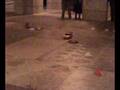 videos de rc drift all'eur.mp4