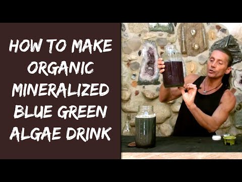 how to dissolve spirulina in water