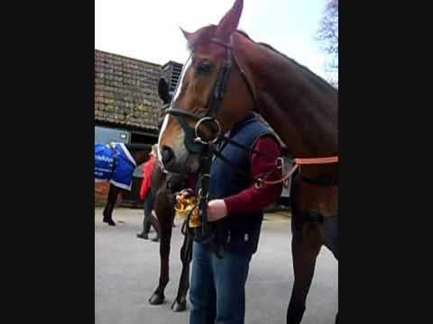 cheltenham today cheltenham today