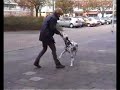 Weaving (canine freestyle)
