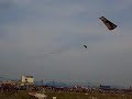 大たこ