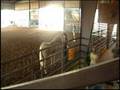 videos de Nilla wins at LSAHC Futurity!!!