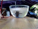HHO Hydrogen generator cells