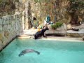 Seal Tricks, Cleveland Metroparks Zoo, 02 of 02, 09-04-2007 Seal Tricks, Cleveland Metroparks Zoo, 02 of 02, 09-04-2007
