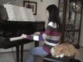 A Pachelbel Christmas (