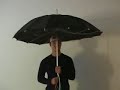 Polite Umbrella Polite Umbrella