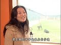 公共電視 我們的島 ─棄犬潮(二) 世棄犬