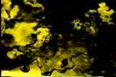 Scorn Vid...