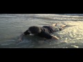 Washed ashore