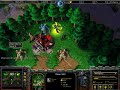 5 Apr 2008: Remind vs. NightWolf (WC3L) G2 1/2