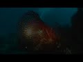 Toscana Underwater, The Mediterranean Scuba Diving Elba