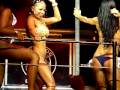 bull dog cafe cancun bikiny 2009#3
